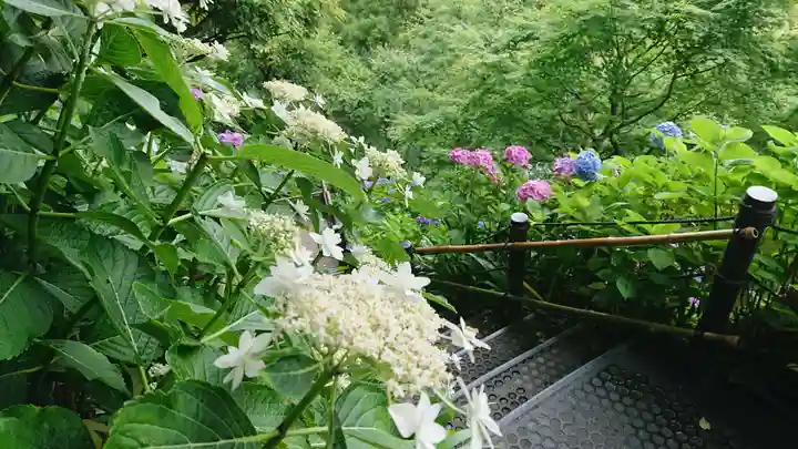 長谷寺のその他建物