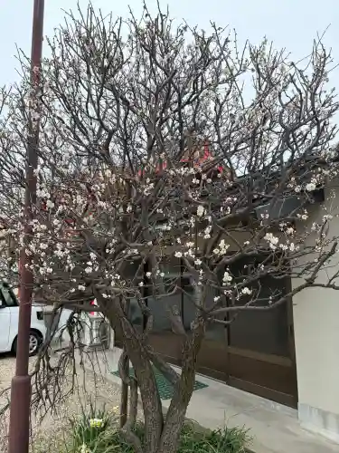 筒井八幡神社の{uncategorized: "未分類", other: "その他", undefined: "問題あり", building: "その他建物", grave: "お墓", sacred_gate: "鳥居", guardian: "狛犬", statue: "像", buddha: "仏像", history: "歴史", nature: "自然", garden: "庭園", animal: "動物", pagoda: "塔", temizu: "手水舎", mountain_gate: "山門・神門", sanctuary: "本殿・本堂", subordinate: "末社・摂社", art: "芸術", scenery: "景色", jizo: "地蔵", ema: "絵馬", goshuin: "御朱印", omikuji: "おみくじ", items: "授与品その他", amulet: "お守り", goshuincho: "御朱印帳", eats: "食事", festival: "お祭り", votive_dance: "神楽", shichigosan: "七五三参", wedding: "結婚式", experience: "体験その他", initially: "初詣", around: "周辺", anti_infection: "感染症対策"}