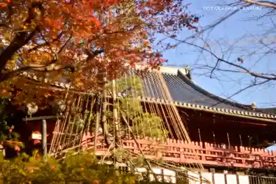 清水観音堂のその他建物