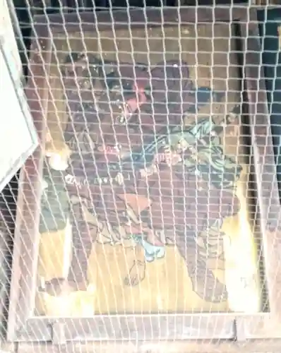 豊国神社 の芸術