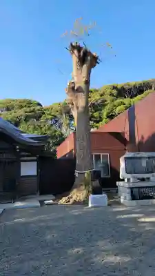 酒列磯前神社の{uncategorized: "未分類", other: "その他", undefined: "問題あり", building: "その他建物", grave: "お墓", sacred_gate: "鳥居", guardian: "狛犬", statue: "像", buddha: "仏像", history: "歴史", nature: "自然", garden: "庭園", animal: "動物", pagoda: "塔", temizu: "手水舎", mountain_gate: "山門・神門", sanctuary: "本殿・本堂", subordinate: "末社・摂社", art: "芸術", scenery: "景色", jizo: "地蔵", ema: "絵馬", goshuin: "御朱印", omikuji: "おみくじ", items: "授与品その他", amulet: "お守り", goshuincho: "御朱印帳", eats: "食事", festival: "お祭り", votive_dance: "神楽", shichigosan: "七五三参", wedding: "結婚式", experience: "体験その他", initially: "初詣", around: "周辺", anti_infection: "感染症対策"}