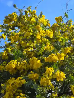 蔵前神社(東京都)
