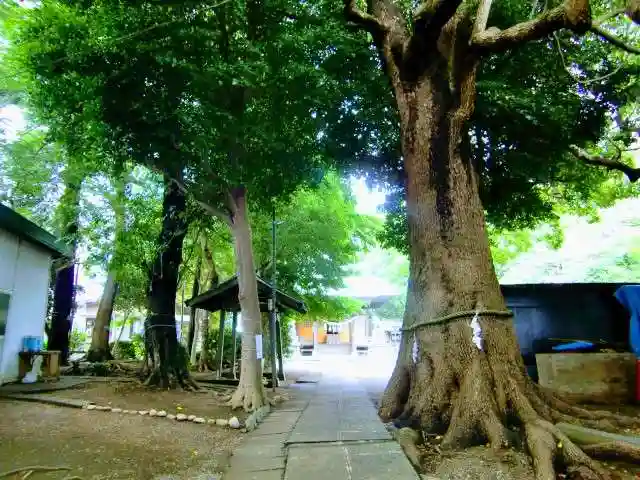 新作八幡宮のその他建物