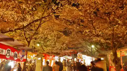 平野神社の庭園