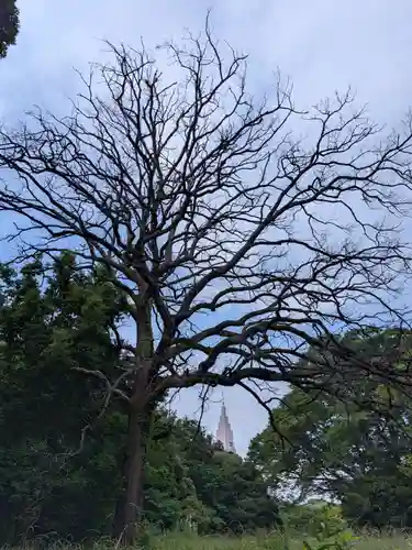 明治神宮(東京都)