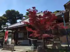 大松寺(神奈川県)