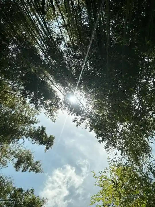 菊田神社の{uncategorized: "未分類", other: "その他", undefined: "問題あり", building: "その他建物", grave: "お墓", sacred_gate: "鳥居", guardian: "狛犬", statue: "像", buddha: "仏像", history: "歴史", nature: "自然", garden: "庭園", animal: "動物", pagoda: "塔", temizu: "手水舎", mountain_gate: "山門・神門", sanctuary: "本殿・本堂", subordinate: "末社・摂社", art: "芸術", scenery: "景色", jizo: "地蔵", ema: "絵馬", goshuin: "御朱印", omikuji: "おみくじ", items: "授与品その他", amulet: "お守り", goshuincho: "御朱印帳", eats: "食事", festival: "お祭り", votive_dance: "神楽", shichigosan: "七五三参", wedding: "結婚式", experience: "体験その他", initially: "初詣", around: "周辺", anti_infection: "感染症対策"}