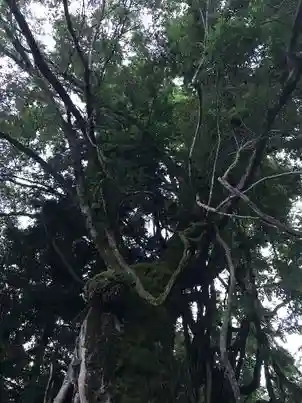 阿上三所神社(京都府)