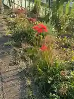 庚申神社の自然