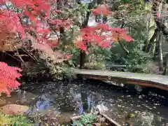 大正寺の庭園