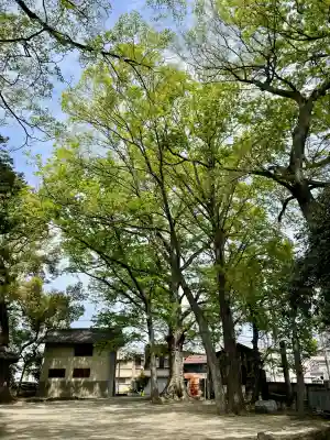 高城神社の{uncategorized: "未分類", other: "その他", undefined: "問題あり", building: "その他建物", grave: "お墓", sacred_gate: "鳥居", guardian: "狛犬", statue: "像", buddha: "仏像", history: "歴史", nature: "自然", garden: "庭園", animal: "動物", pagoda: "塔", temizu: "手水舎", mountain_gate: "山門・神門", sanctuary: "本殿・本堂", subordinate: "末社・摂社", art: "芸術", scenery: "景色", jizo: "地蔵", ema: "絵馬", goshuin: "御朱印", omikuji: "おみくじ", items: "授与品その他", amulet: "お守り", goshuincho: "御朱印帳", eats: "食事", festival: "お祭り", votive_dance: "神楽", shichigosan: "七五三参", wedding: "結婚式", experience: "体験その他", initially: "初詣", around: "周辺", anti_infection: "感染症対策"}