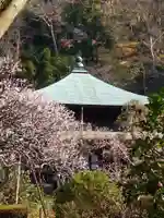 瑞泉寺(神奈川県)