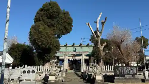 松島神社(徳島県)