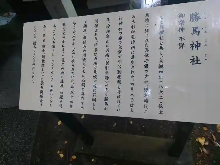 大杉神社(茨城県)