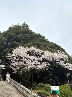 宇都宮二荒山神社の{uncategorized: "未分類", other: "その他", undefined: "問題あり", building: "その他建物", grave: "お墓", sacred_gate: "鳥居", guardian: "狛犬", statue: "像", buddha: "仏像", history: "歴史", nature: "自然", garden: "庭園", animal: "動物", pagoda: "塔", temizu: "手水舎", mountain_gate: "山門・神門", sanctuary: "本殿・本堂", subordinate: "末社・摂社", art: "芸術", scenery: "景色", jizo: "地蔵", ema: "絵馬", goshuin: "御朱印", omikuji: "おみくじ", items: "授与品その他", amulet: "お守り", goshuincho: "御朱印帳", eats: "食事", festival: "お祭り", votive_dance: "神楽", shichigosan: "七五三参", wedding: "結婚式", experience: "体験その他", initially: "初詣", around: "周辺", anti_infection: "感染症対策"}