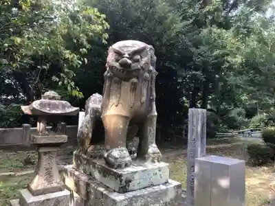 黒嶋神宮の狛犬