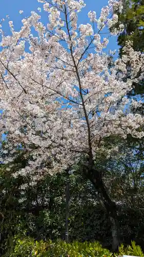 法金剛院(京都府)