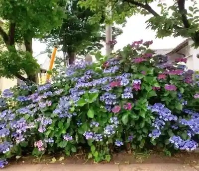宝祥寺(東京都)