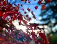生島足島神社(長野県)
