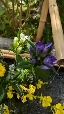 宝蔵寺(京都府)