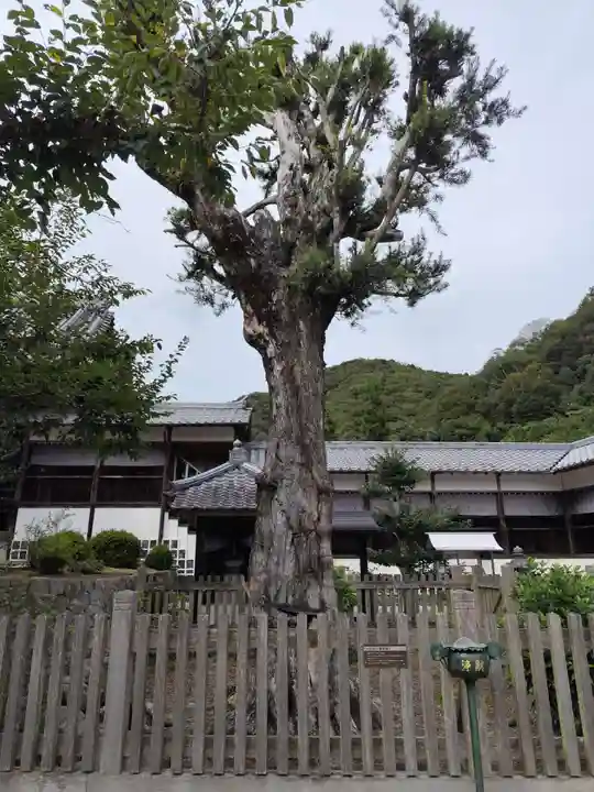 大日寺(徳島県)