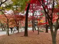 平林寺(埼玉県)