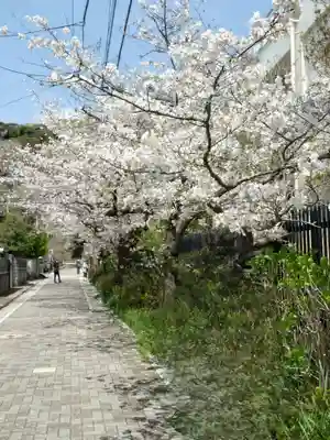 鎌倉宮(神奈川県)