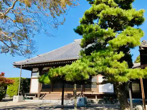 観音寺の本殿・本堂