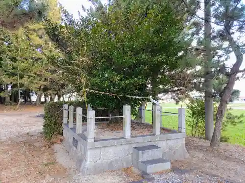 稲荷社（岩根稲荷社）の自然