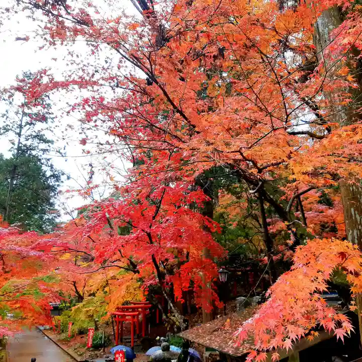 目の霊山 油山寺(静岡県)