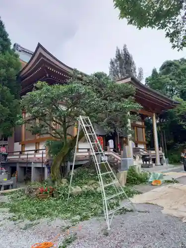 善楽寺の本殿