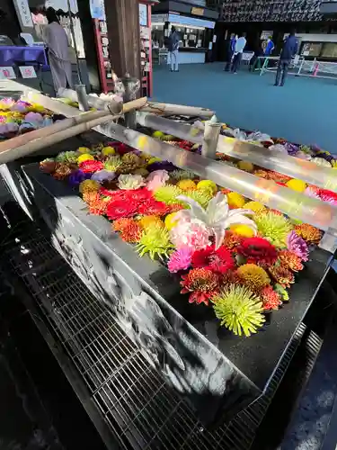 成田山深川不動堂（新勝寺東京別院）の手水舎