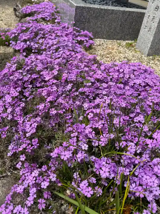 崇道天皇社(奈良県)