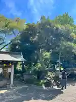 菊田神社(千葉県)