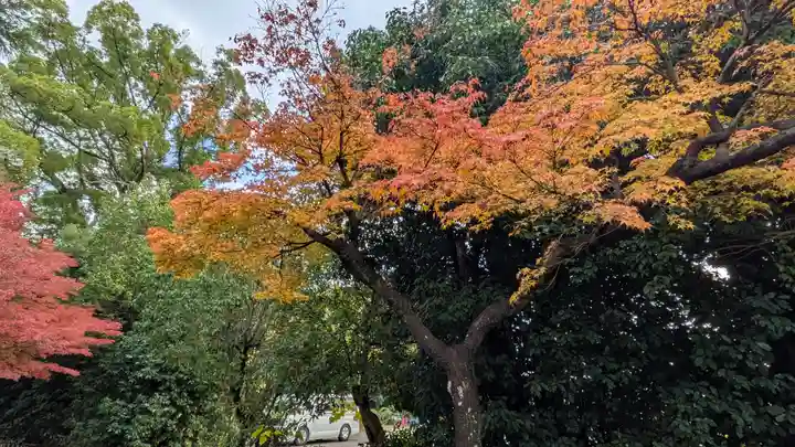 水無瀬神宮(大阪府)