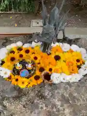 彌都加伎神社の手水