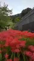 横浜 西方寺の自然
