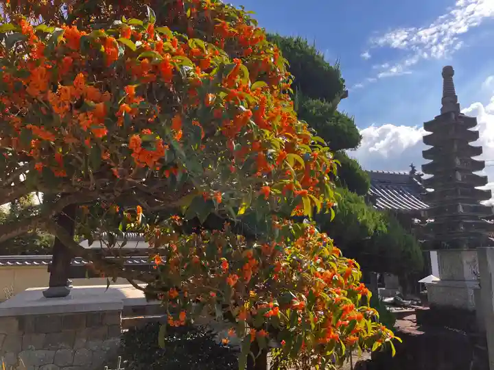真言宗 善通寺派 薬王寺(香川県)
