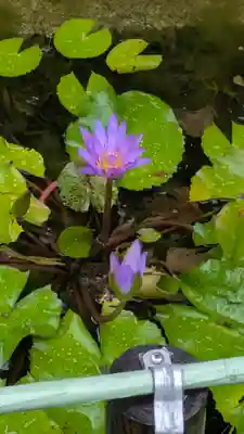 全興寺(大阪府)