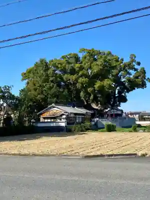 玉田神社の周辺