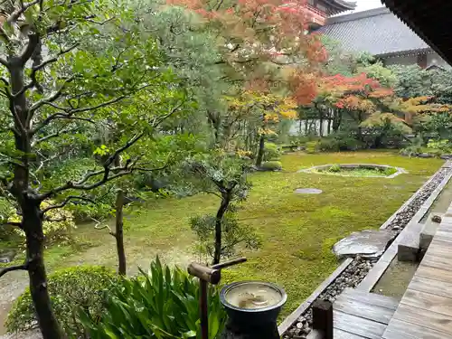 本法寺(京都府)