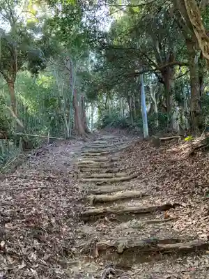 三ｹ谷神社の自然