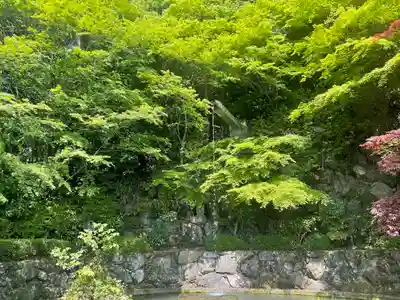 善峯寺(京都府)