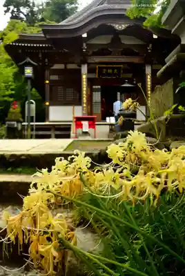 高幡不動尊　金剛寺(東京都)