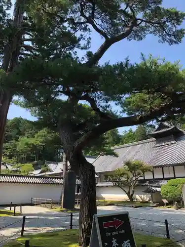 瑞巌寺の庭園