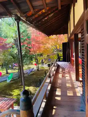 勝林寺(京都府)