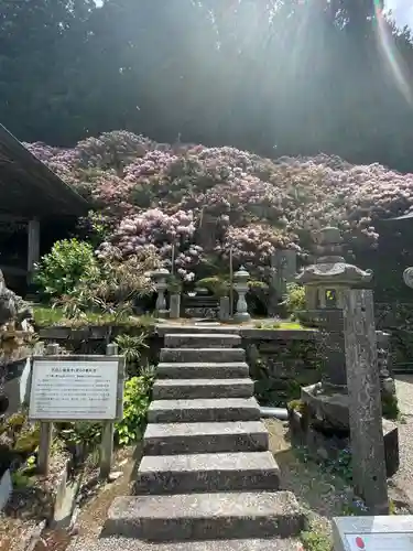 横峰寺(愛媛県)