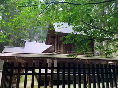 天岩戸神社の本殿・本堂