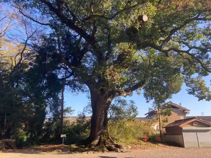 宍喰八坂神社(徳島県)
