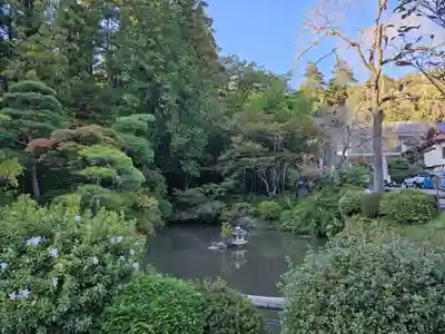 宝登山神社(埼玉県)